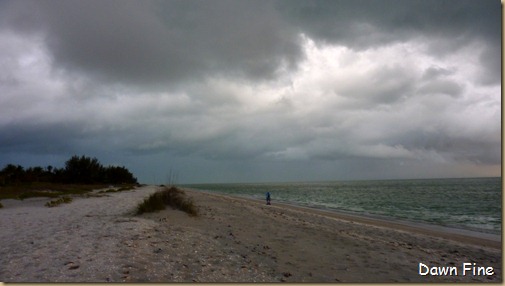 captiva evening_019