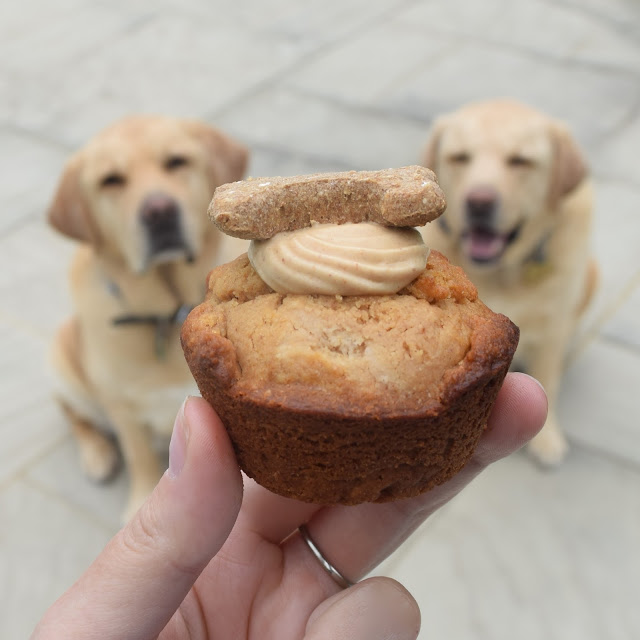 Homemade Pupcake Recipe