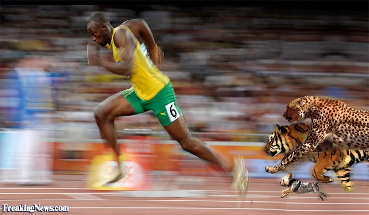 Τι θα γινόταν αν ο Usain Bolt έτρεχε με αντίπαλο ένα Cheetah;