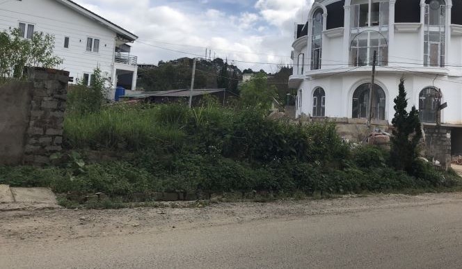 Bán 2500m2 đất view rừng thông đẹp TP Đà Lạt, giá 68 tỷ