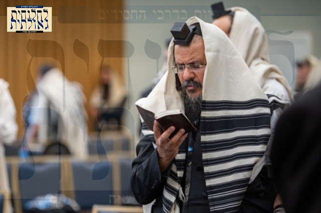 לחלוחית גאולתית - חסיד מתפלל