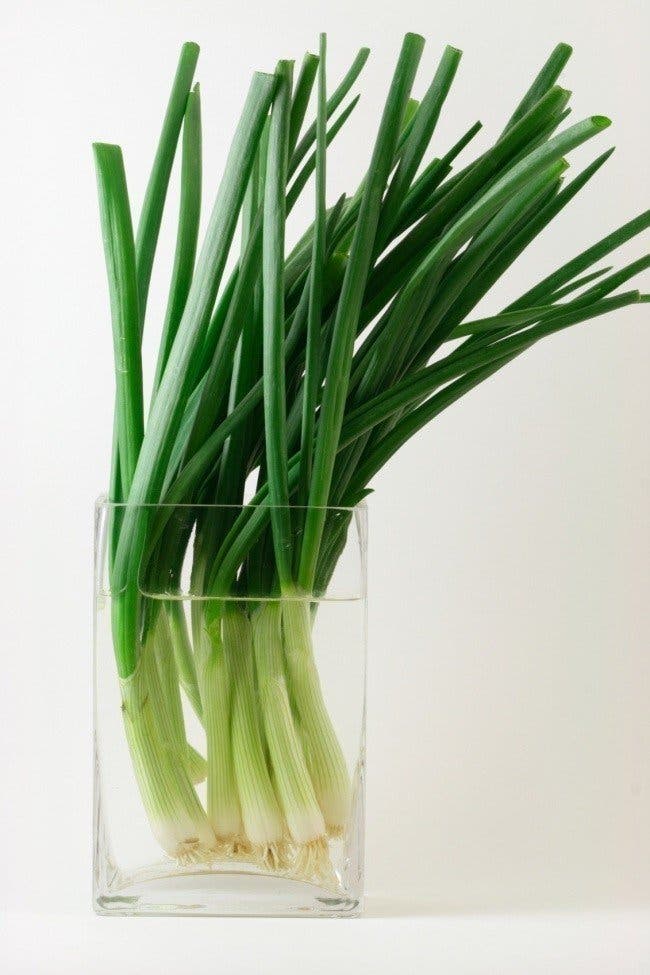 Green onion