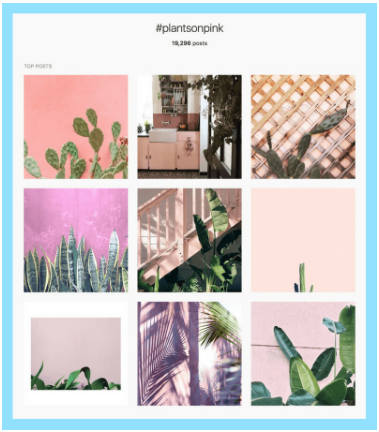 Things to Know About the Instagram Algorithm
