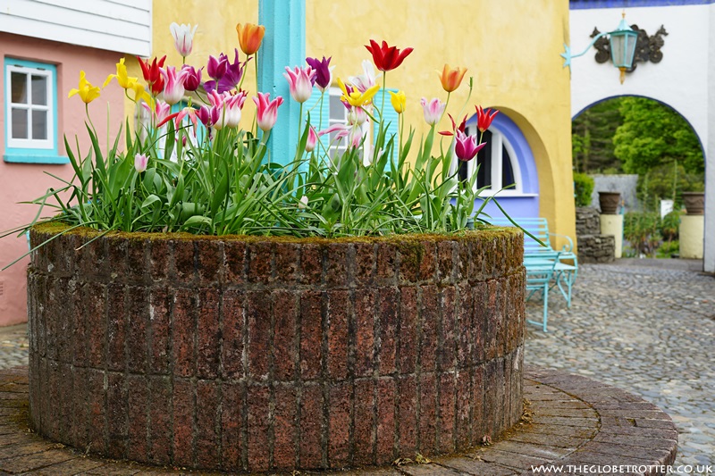 Gardens at Portmeirion village