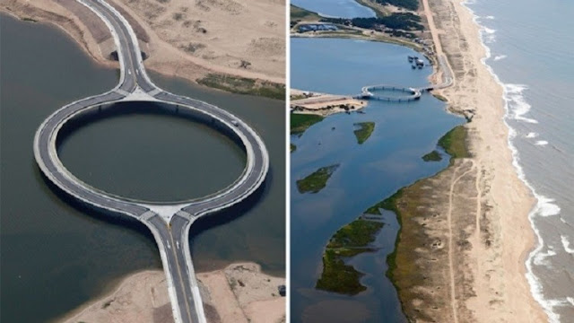 Uruguay's Enchanting Bridge: Blending Modernity with Natural Beauty