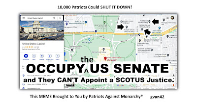 OCCUPY the US SENATE and They Cannot Appoint a SCOTUS Justice - meme - gvan42