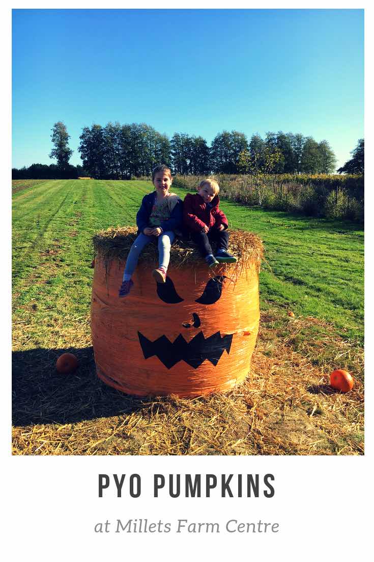 Pumpkin round hay bale