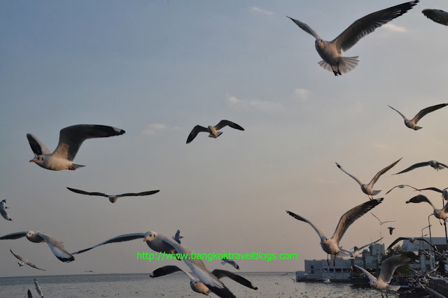 Bang Pu Seaside Resort, Samut Prakarn Thailand