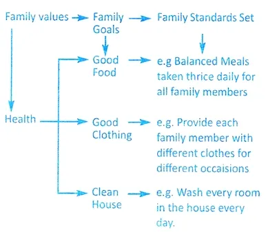 VALUES, GOALS AND STANDARDS