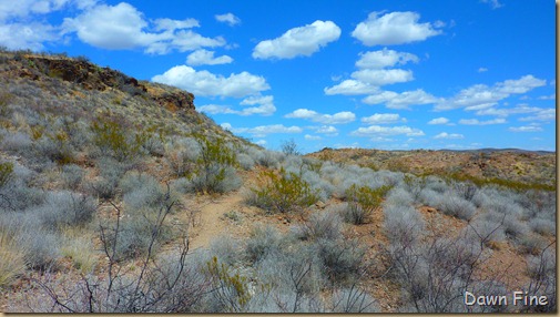 Big Bend Ranch State park_047