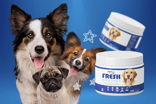 Fresh Breathies Review: Does Pup Labs Fresh Breathies Work? What to Know Before Buying!