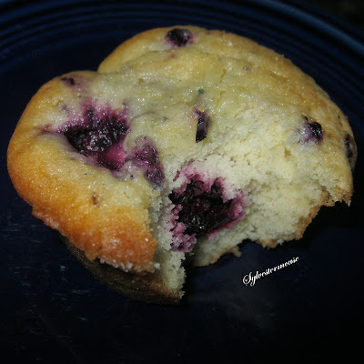 blackberry muffin recipe