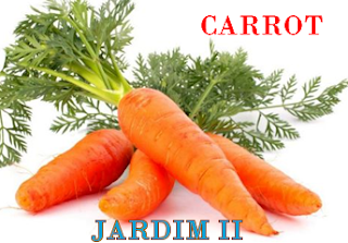 http://www.santabarbaracolegio.com.br/csb/csbnew/index.php?option=com_content&view=article&id=2016:carrot-jd-ii&catid=14:uni1