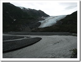Exit Glacier