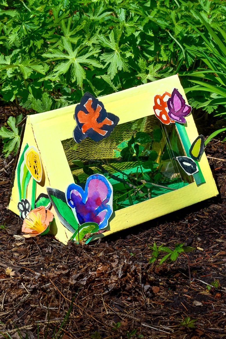 bug box craft  - summer camp craft for kids