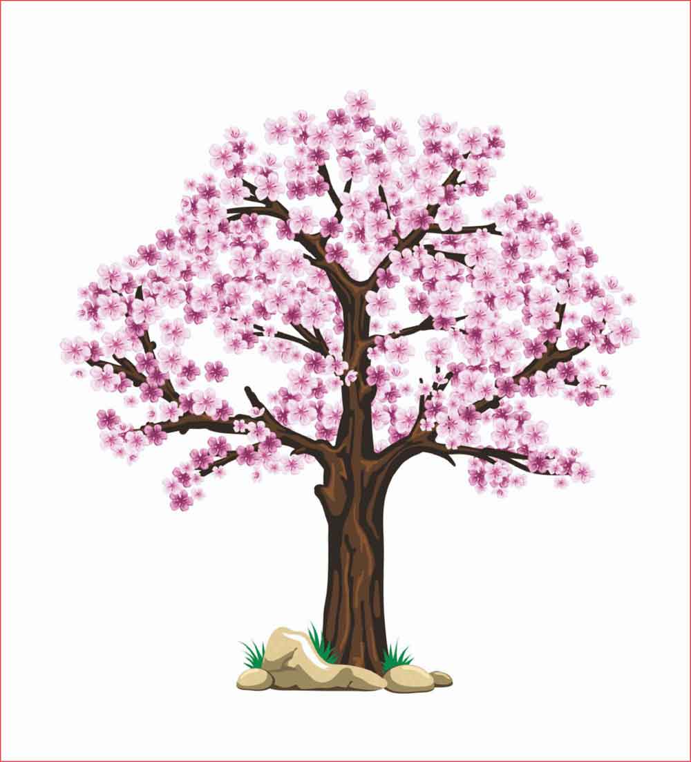 Gambar Bunga  Sakura  Animasi mosi