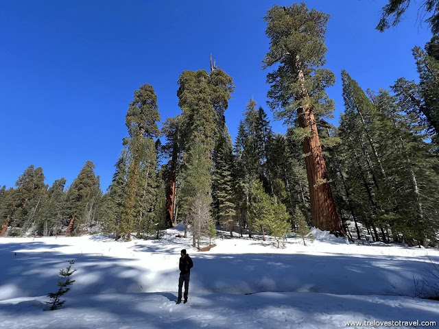 Easy Hiking Trails in Sequoia National Park