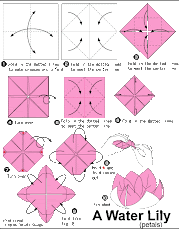 19+ Konsep Top Cara Membuat Origami Bunga Teratai