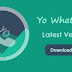 YoWhatsApp Latest Version APK v7.00 Download  UPDATE