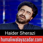 https://www.humaliwalyazadar.com/2019/05/haider-sheerazi-noha-ayyam-e-ali-nohay.html