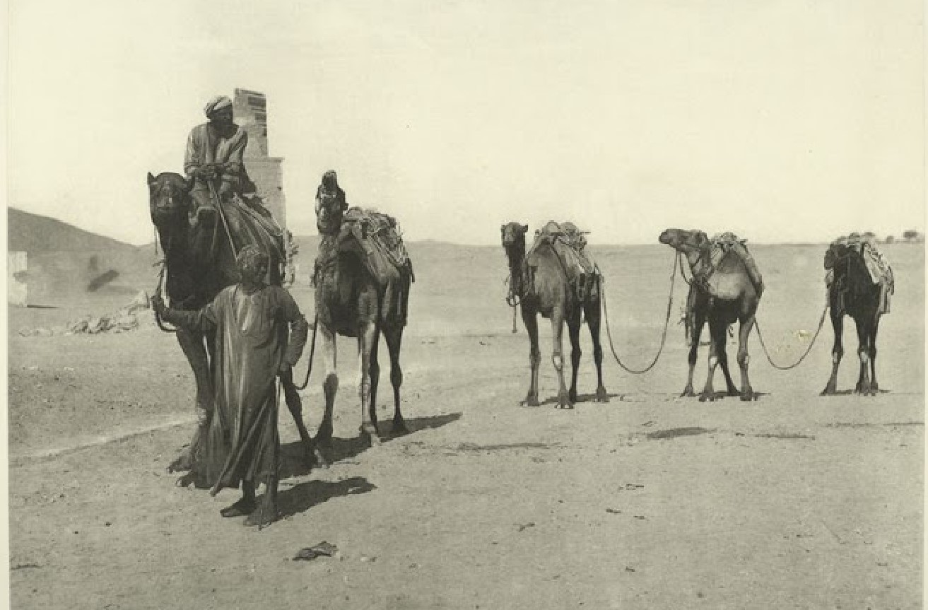 Старого каравана. 1870-1875 Египет. 1870 1875 Фото Египет. Египет 19-20 век. Фото Египта 1870 годов.
