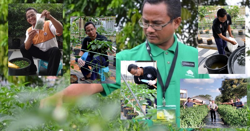 Cikgu Ini Raih Pendapatan Mencecah RM7K Semusim Hanya ...