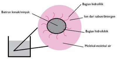 Gambar Ilustrasi Hidrofilik dan Hidrofobik pada Penggunaan Deterjen