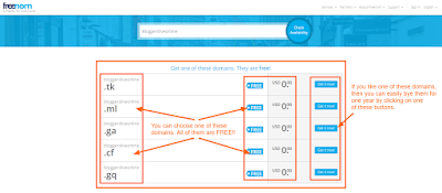  Today I wanted to give out information for an  How to Get FREE Custom TLD Domain Names