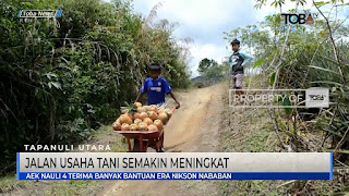 Akses Jalan Semakin Bagus Pengangkutan Hasil Pertanian Di Desa Aeknauli Semakin Bagus