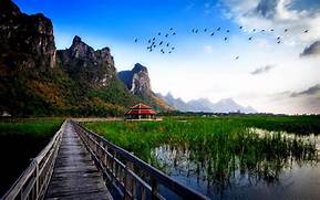 Nature image 4k