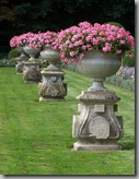 chenonceau geraniums