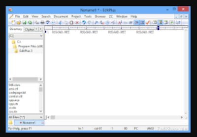 Download EditPlus 5.0.777 Full Version