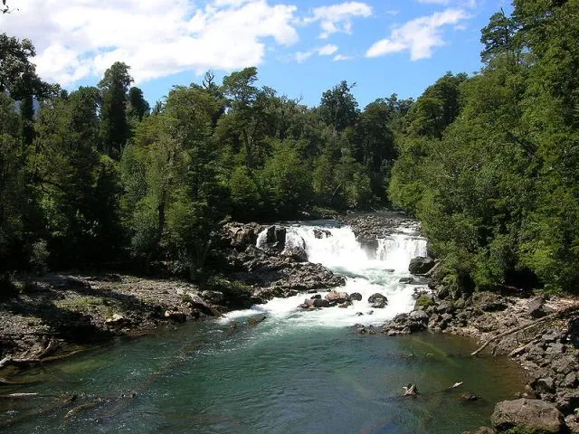 Loteos irregulares en Parque Nacional Puyehue