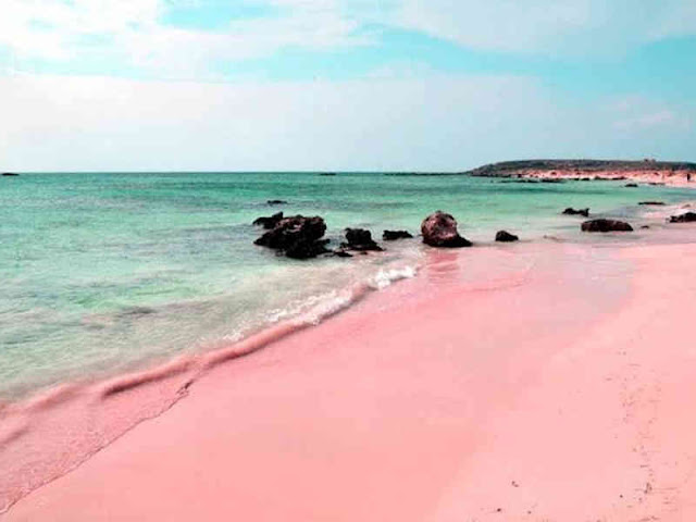Pantai Pink Jadi Destinasi Wisata Laut di TN Komodo