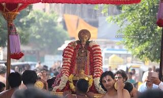 Ippasi Thirumoolam,Sattrumurai, Manavala Maamunigal,Purappadu,2016, Video, Divya Prabhandam,Triplicane,Thiruvallikeni,Utsavam,