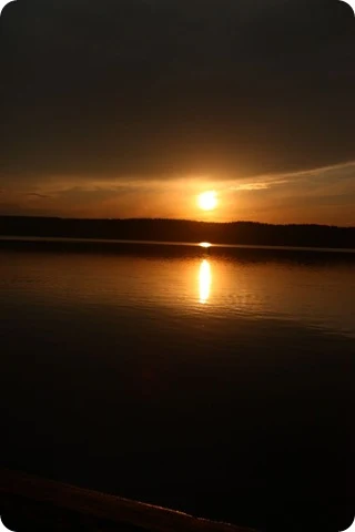 seliger_2011-07-14 21-56-56