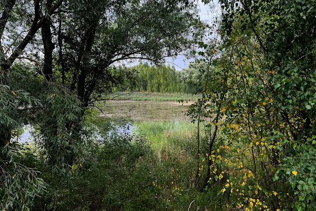 Крылатское, Восточный Татаровский пруд