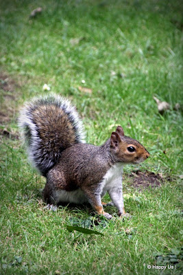 Londres - Hyde Park