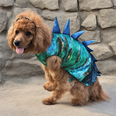 halloween dog costumes, dinosaur dog costume
