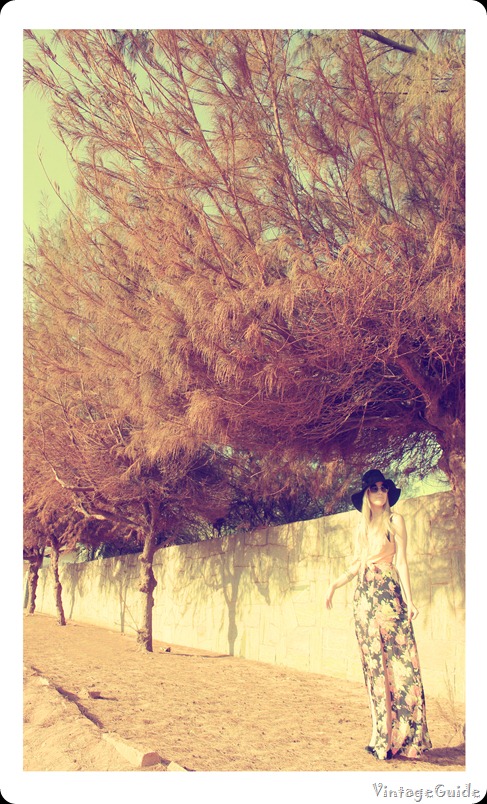 VintageGuide