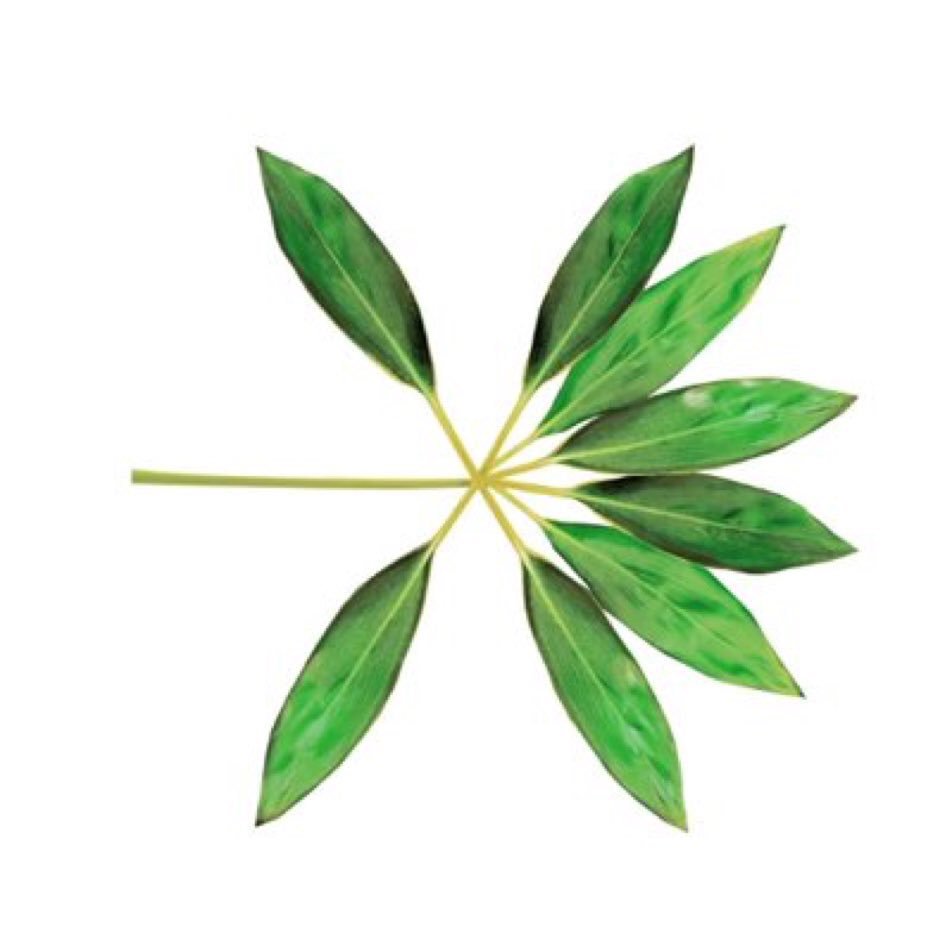 New Logos EXO The War KoKoBop ONE AND ONLY EXO