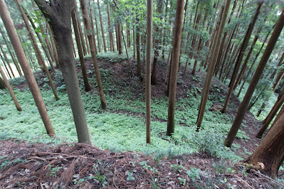 鷹留城