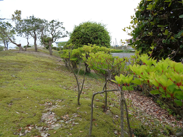 東郷湖羽合臨海公園