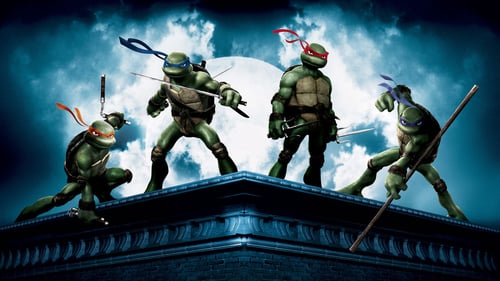 Teenage Mutant Ninja Turtles 2007 film schauen