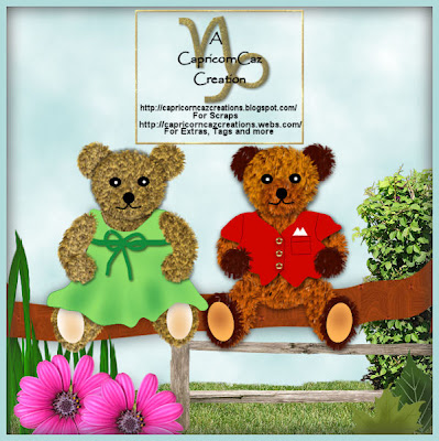 http://capricorncazcreations.blogspot.com/2009/10/boy-and-girl-teddies.html