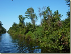 P1120886