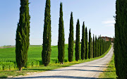 Assisi Italy (italy )