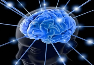 Apakah Benar Otak Orang Cerdas Memang Lebih Encer? Begini Kata Pakar Kesehatan