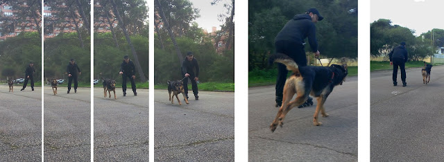 Passeio Radical em patins o Zurga ficou para trás 😂