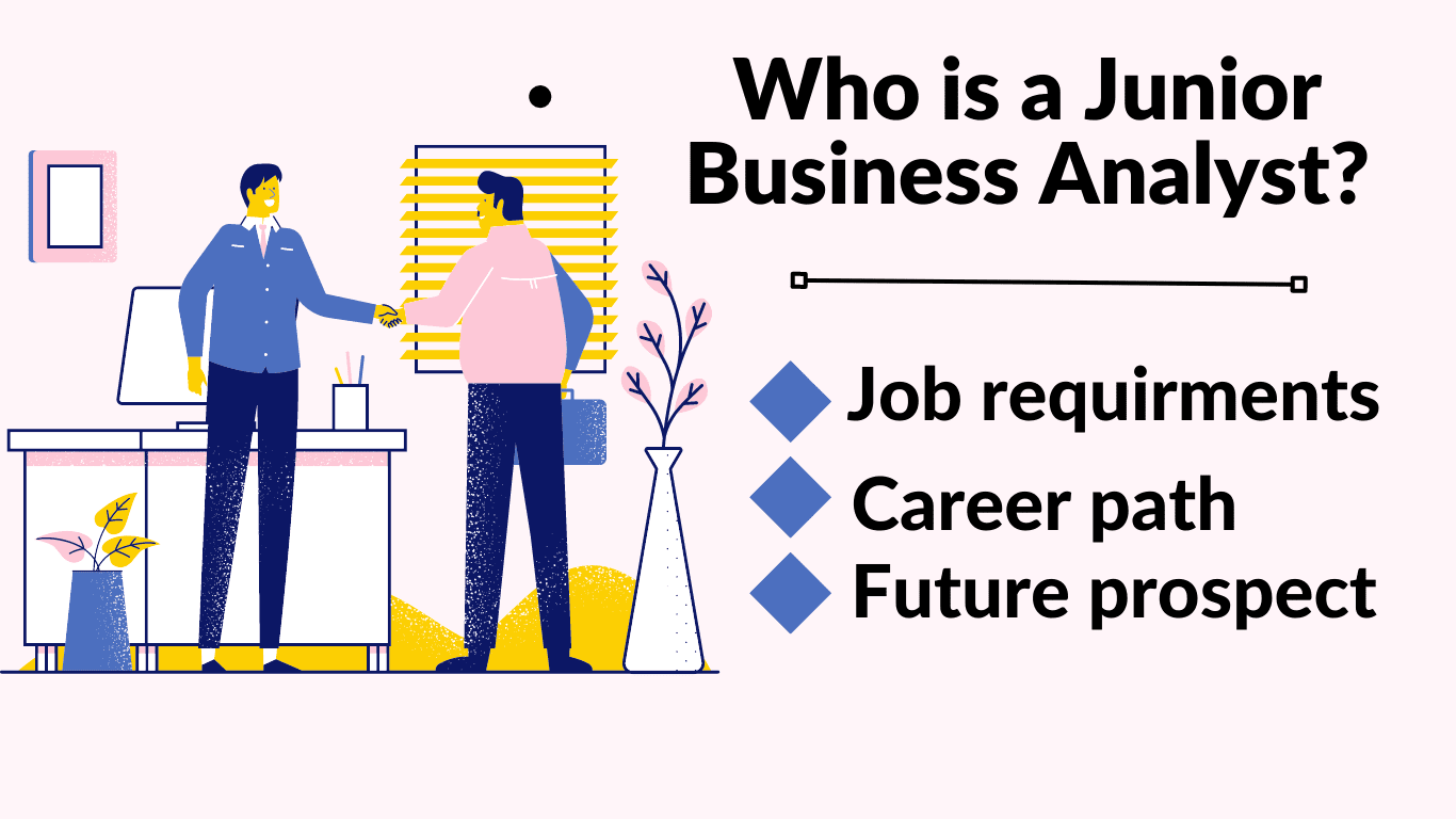 who is junior business analyst?